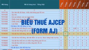 Biểu thuế nhập khẩu ưu đãi đặc biệt ASEAN Nhật Bản