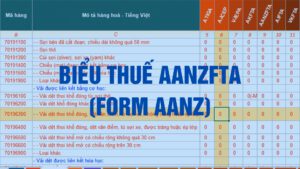 Biểu thuế nhập khẩu ưu đãi đặc biệt Việt Nam ASEAN Ôtxtrâylia