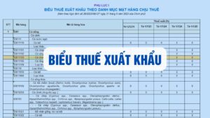 biểu thuế xuất khẩu 2024