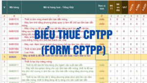 Biểu thuế nhập khẩu ưu đãi đặc biệt CPTPP