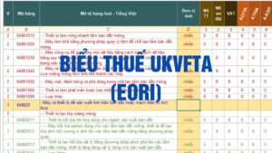 Biểu thuế nhập khẩu ưu đãi đặc biệt Việt Nam Liên hiệp Vương quốc Anh và Bắc Ai len
