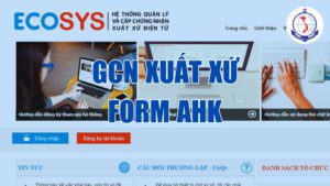 văn bản pháp quy giấy chứng nhận xuất xứ form ahk