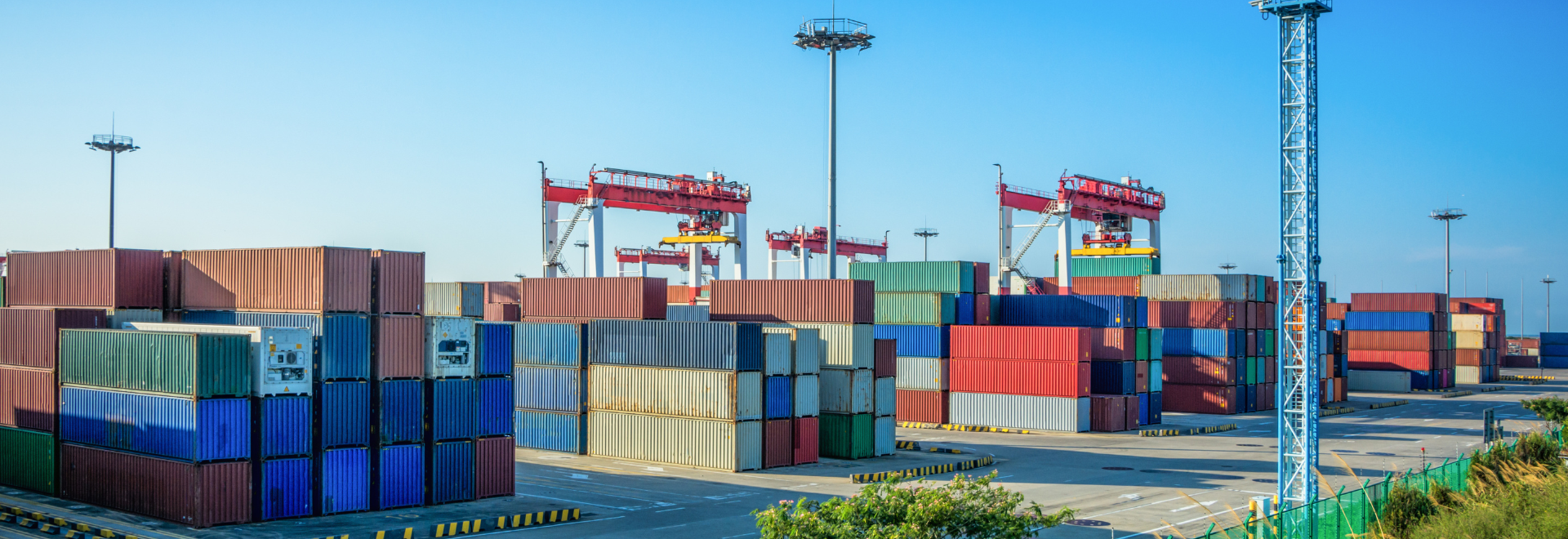 Đào tạo xuất nhập khẩu Đông Phương