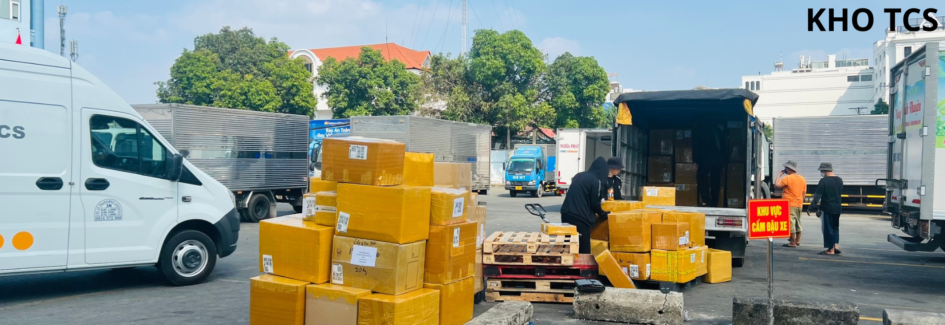 Đào tạo xuất nhập khẩu Đông Phương