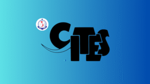 Thông tư 27/2025/TT-BNNMT về buôn bán quốc tế các loài động vật, thực vật hoang dã nguy cấp CITES