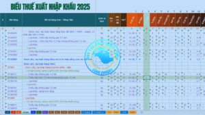 Thông báo 60/TB-KĐHQ 2025 kết quả phân loại cao dán SALONPAS Diclofenac